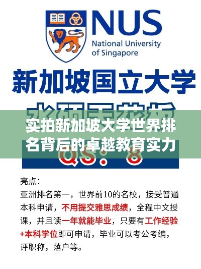 实拍新加坡大学世界排名背后的卓越教育实力