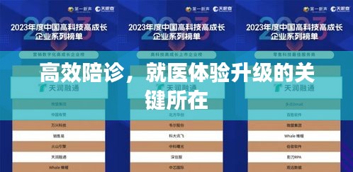 高效陪诊，就医体验升级的关键所在