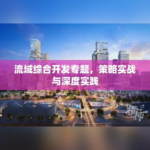 流域综合开发专题，策略实战与深度实践