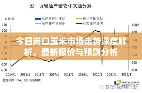 今日岗口玉米市场走势深度解析，最新报价与预测分析