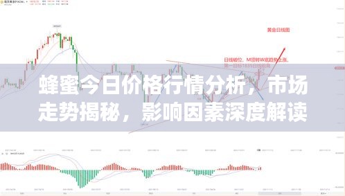 蜂蜜今日价格行情分析，市场走势揭秘，影响因素深度解读
