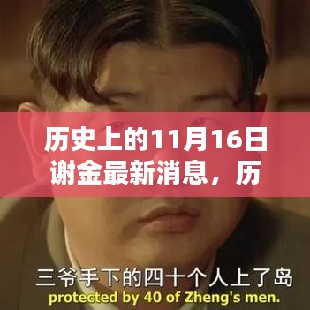 历史上的11月16日与谢金，最新消息深度分析与个人观点