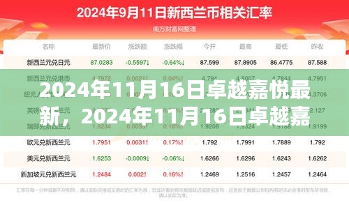 2024年11月16日卓越嘉悦最新任务指南，掌握新技能的步骤概览