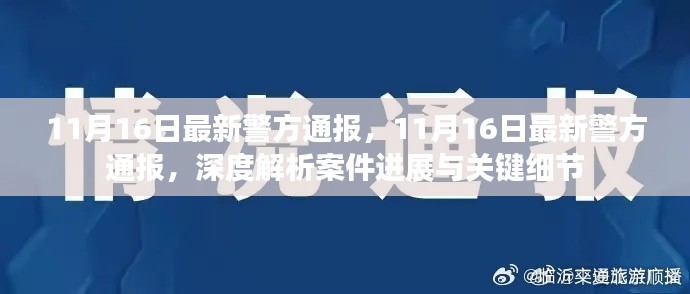 11月16日警方最新通报深度解析，案件进展与关键细节全揭秘