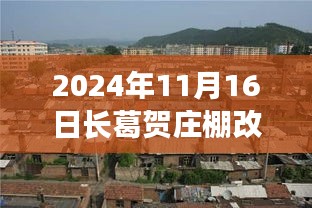 长葛贺庄棚改新篇章，2024年11月16日最新动态与影响分析