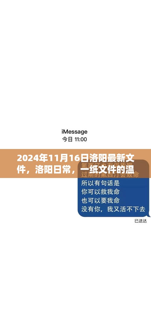 洛阳日常，一纸文件的温暖奇遇揭秘（2024年11月16日最新文件）