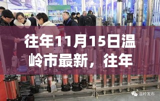 往年11月15日温岭市新动态深度解析，某某观点下的探析与阐述