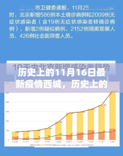 历史上的11月16日疫情回顾与当前西城防疫指南，初学者与进阶用户教程