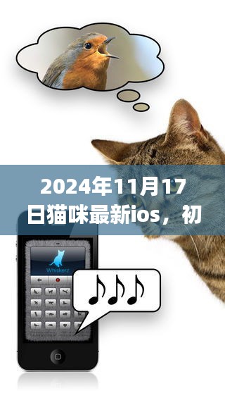 最新iOS猫咪应用使用指南，适合初学者与进阶用户的全面教程（2024年11月17日版）