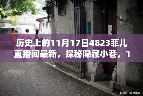 揭秘隐藏小巷的秘密特色小店，菲儿直播间里的历史11月17日精彩回顾