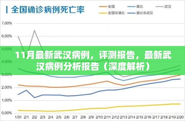 武汉最新病例分析报告，深度解析与评测报告（11月最新）