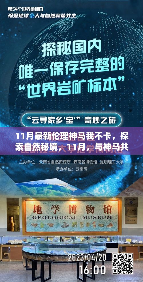 11月伦理秘境之旅，与神马共舞，探索自然秘境，寻找内心宁静港湾