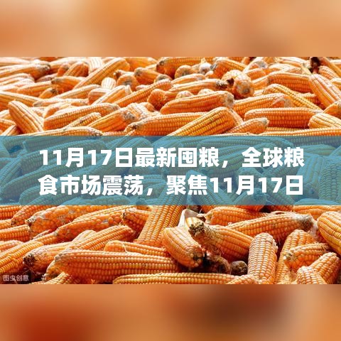 全球粮食市场震荡，聚焦11月17日的囤粮大潮及其长远影响