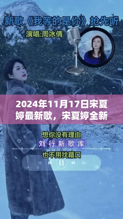 宋夏婷最新单曲XXXX深度评测与介绍（2024年最新版）