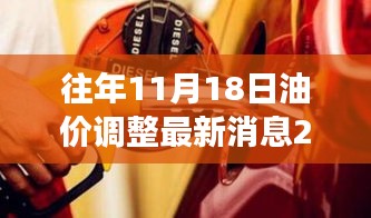 2024年11月19日 第17页