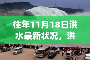 洪水退去后的美景探索，内心平静的远离尘嚣之旅，最新洪水状况回顾