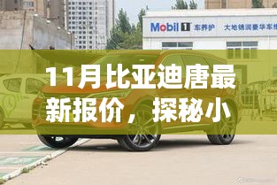 揭秘比亚迪唐宝藏店，11月最新报价大解密与深度探秘体验