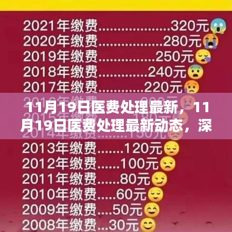 深度解析与观点阐述，11月19日医费处理最新动态