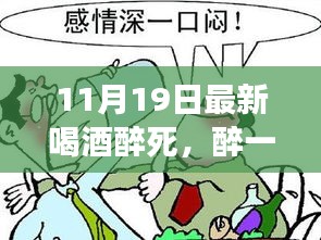 醉与醒的转变，自信与成就感的源泉，11月最新感悟分享