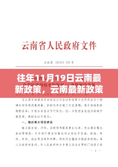 云南政策解读，最新政策概览与操作指南——以历年11月19日政策为例