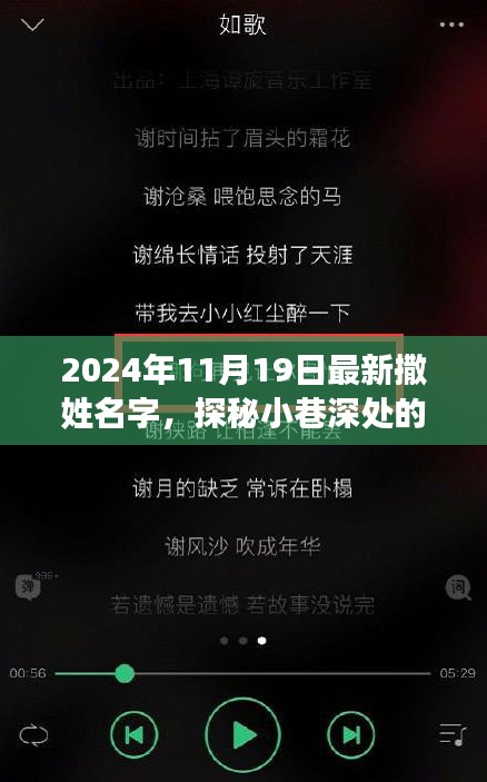 撒姓美食奇遇，探寻小巷深处的特色小店与最新名字之旅