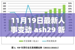 揭秘新浪博客ash29人事变动动态（最新更新日期，11月19日）