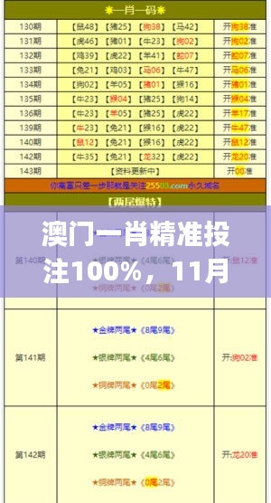 澳门一肖精准投注100%，11月详细解析与实施_JTJ1.20.54服务器版本