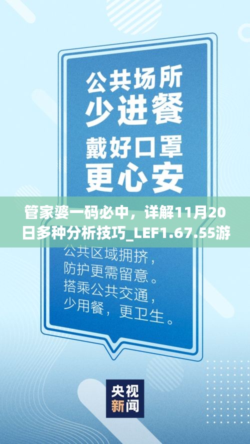 管家婆一码必中，详解11月20日多种分析技巧_LEF1.67.55游戏版