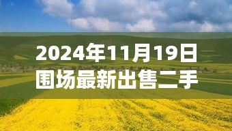 围场温馨家园寻觅之旅，二手房出售与深厚友情绽放的旅程（2024年11月19日）