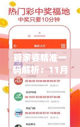 管家婆精准一码解析：11月20日即时答疑落实_HLB2.14.57灵活版