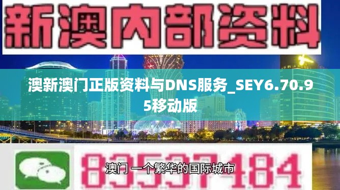 澳新澳门正版资料与DNS服务_SEY6.70.95移动版