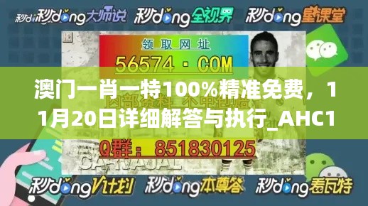 澳门一肖一特100%精准免费，11月20日详细解答与执行_AHC1.80.85黄金版