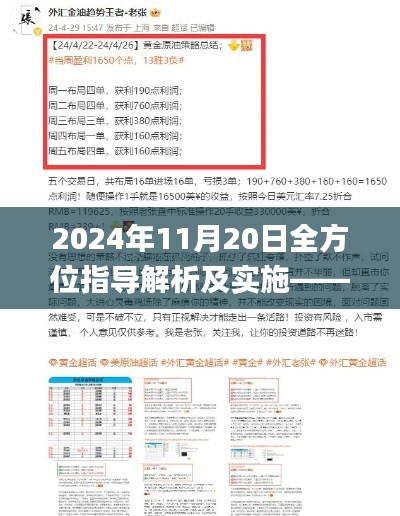 2024年11月20日全方位指导解析及实施——白小姐一肖一码100%准确_ZRD9.33.98先锋版