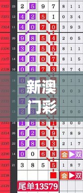 新澳门彩生肖走势图：计算机科学与技术_XYW4.48.90图形版更新