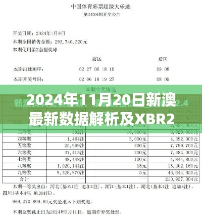 2024年11月20日新澳最新数据解析及XBR2.62.73自助版解答