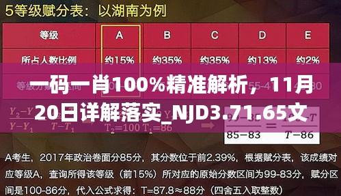 一码一肖100%精准解析，11月20日详解落实_NJD3.71.65文化传承版