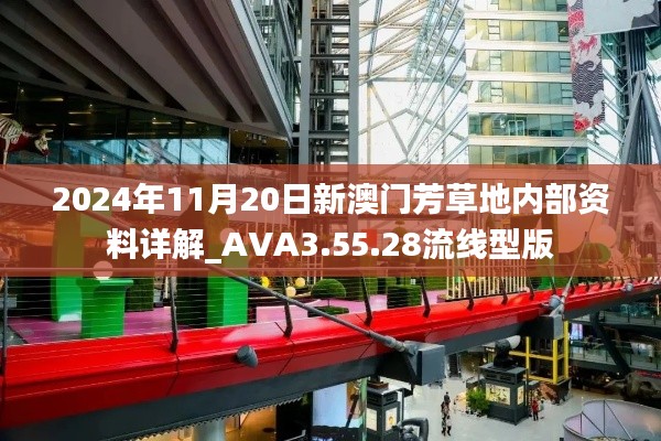 2024年11月20日新澳门芳草地内部资料详解_AVA3.55.28流线型版