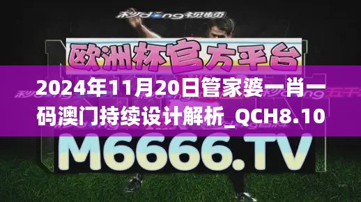 2024年11月20日管家婆一肖一码澳门持续设计解析_QCH8.10.66模拟版