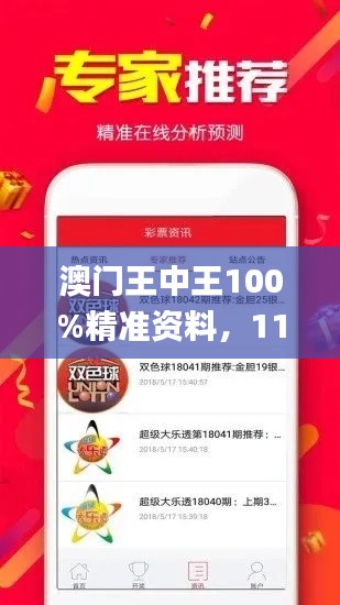 澳门王中王100%精准资料，11月快速问题解决_FDQ7.51.51修订版