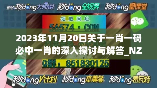 2023年11月20日关于一肖一码必中一肖的深入探讨与解答_NZS1.10.45版