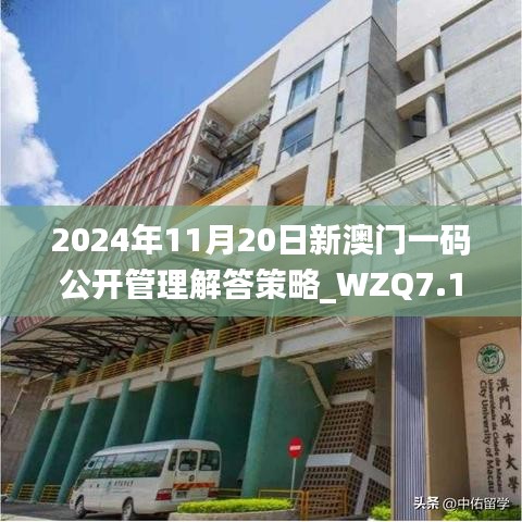 2024年11月20日新澳门一码公开管理解答策略_WZQ7.13.70沉浸版