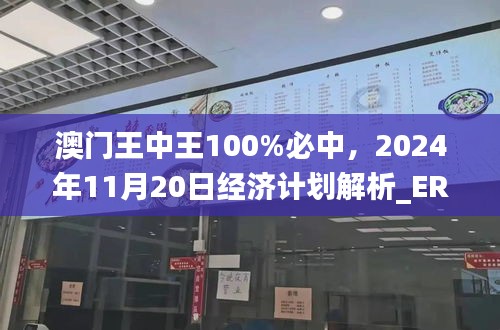 澳门王中王100%必中，2024年11月20日经济计划解析_ERN8.20.47跨界版