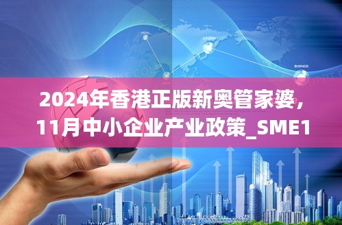 2024年香港正版新奥管家婆，11月中小企业产业政策_SME1.53.63健康版