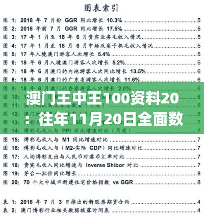 澳门王中王100资料20：往年11月20日全面数据策略实施_TYR5.76.65美学版