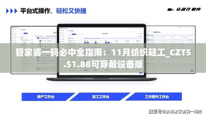 管家婆一码必中全指南：11月纺织轻工_CZT5.51.88可穿戴设备版