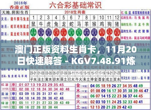 澳门正版资料生肖卡，11月20日快速解答 - KGV7.48.91炼皮境