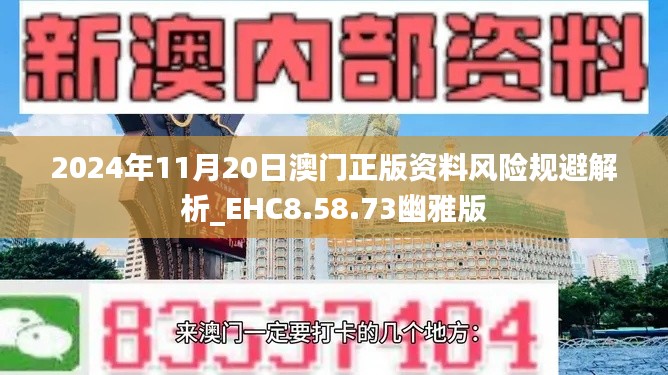 2024年11月20日澳门正版资料风险规避解析_EHC8.58.73幽雅版