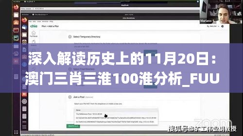 深入解读历史上的11月20日：澳门三肖三淮100淮分析_FUU8.10.81简易版