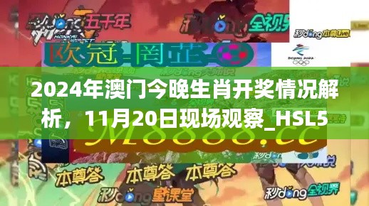 2024年澳门今晚生肖开奖情况解析，11月20日现场观察_HSL5.11.59复刻版