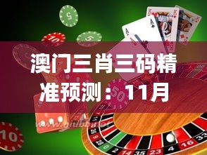 澳门三肖三码精准预测：11月20日凤凰艺术深入解析_QNC8.34.32初学版